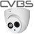 Analogue Cameras (CVBS - 960H / D1 / CIF)